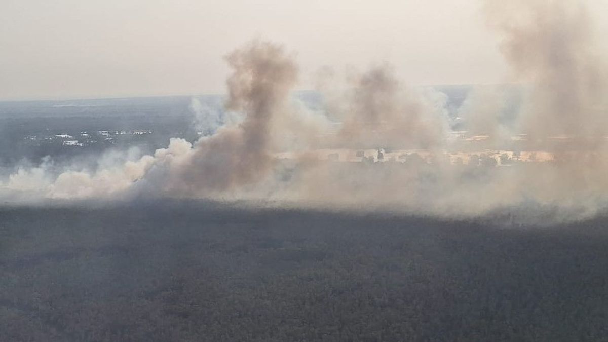 Kabut Asap Selimuti Rokan Hulu Riau, Sekolah Diliburkan